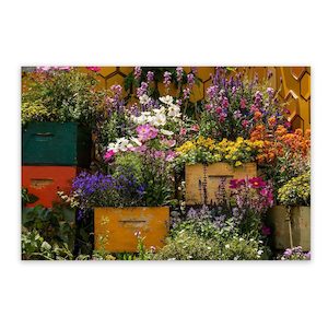 Products: Outdoor Canvas Wall Art Wild On Walls Now