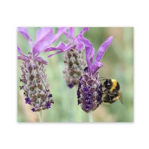 Products: OUTDOOR METAL ART Heather Bee WILD ON WALLS GARDEN ART