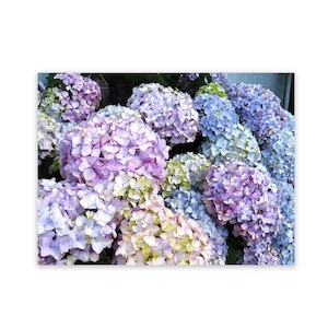 Art For Outside Hydrageas Garden Panel Wild On Walls