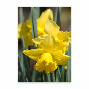 Products: Garden Art For Patios Outdoor Art Panel Wild On Walls