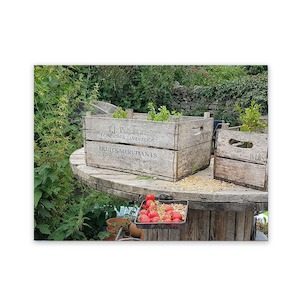 Products: Outdoor Art Murals Garden Art Wild On Walls Now