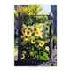 Custom Design Letter Box Sunflower WILD ON WALLS