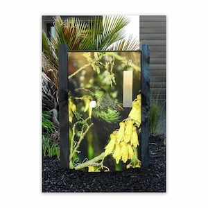 Custom Design Letter Box Tui WILD ON WALLS