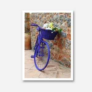 Yard Art Flower Cycle Garden Art Wild On Walls Nz