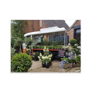 Products: Metal Yard Art Waterproof Garden Art Wild On Walls