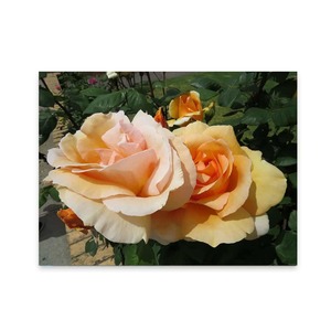 Products: Patio Art Waterproof Garden Art Wild On Walls Nz