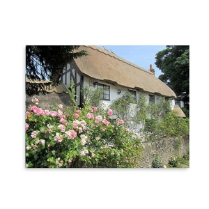 Products: Fence Art For Outside Garden Art Wild On Walls Nz