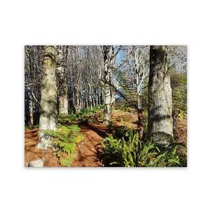 Products: PATIO ART IDEAS - Winters Wood GARDEN ART WILD ON WALLS