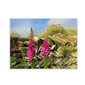 Outside Wall Art Garden Art Panels Wild On Walls Nz