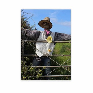 Photographs For Outside Garden Art Wild On Walls