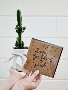 Gift Crates: 'Sorry For Being a Prick' Card + Plant