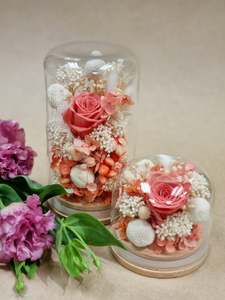 Mothers Day 2023: Coral + White Preserved Dome