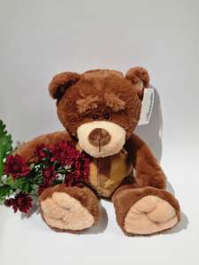 65 Under: Fraser Bear