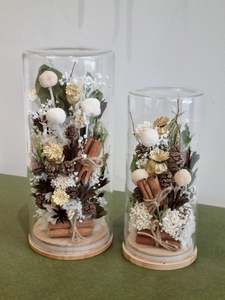 Christmas Pre Orders: Christmas Domes