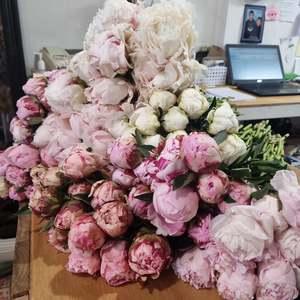 Peony bunches
