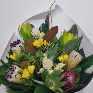 Frontpage: The Natures Jewels