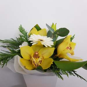 Frontpage: Mini arrangement