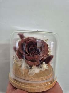 Dried Arrangements And Wall Hanging: Dried flower Glass Domes