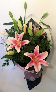 Lilac Lily - Wildstem Florists