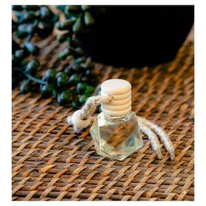 Products: Car Diffuser ~ Coconut & Lime