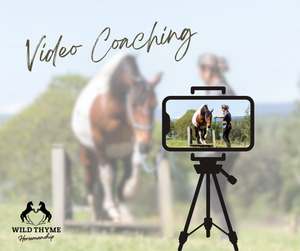 Video Analysis – Feedback