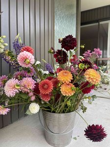 Flower Buckets – DIY Wedding Flowers – Bulk Flowers Taupō - Wildwood Farm