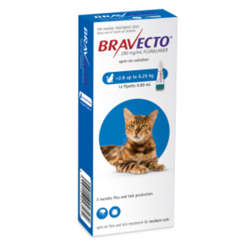 Bravecto Spot-on for Medium Cats: 2.8 - 6.25kg