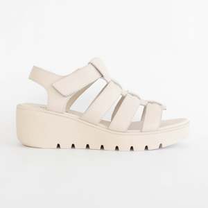 New: Pern Bone