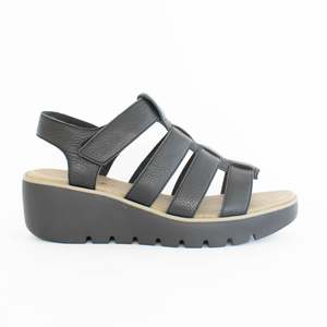 Pern Black Olive