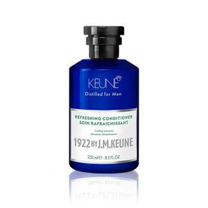 Refreshing Conditioner 250ml Willow Society