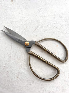 Products: Every-day Stainless Steel Forged Scissors - the best ON SALE - Wilson & Co