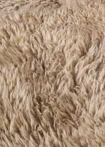 Long Wool: Shaggy Wool Mt Gold Sample
