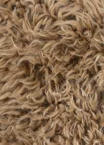 Extra Shaggy Wool Bendigo Sample