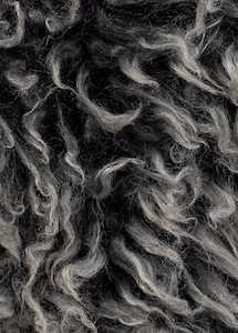 Extra Shaggy Wool Mackenzie Sample