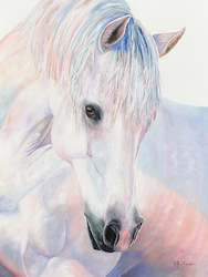 Twilight by Heather Wilson