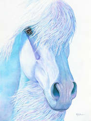 Fine Art Print: Purple Reign by Heather Wilson