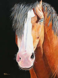 Fine Art Print: Ol Blue Eyes by Heather Wilson