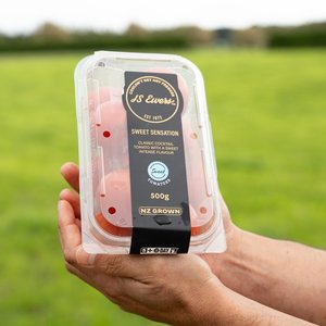 Tomatoes (500gm Punnet) - Wilsons Vegetables