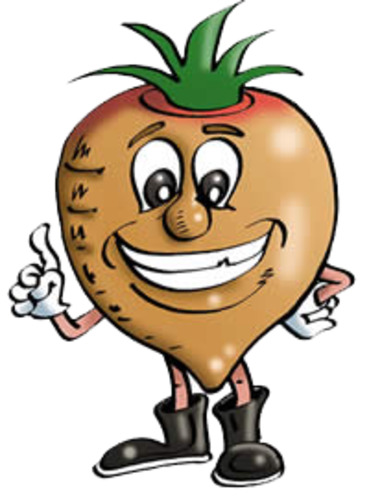 Yams - Wilsons Vegetables