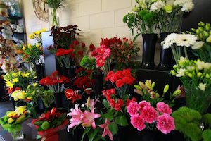 Other Gift Ideas Windsor Florist