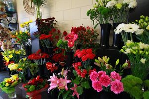 Florist Choice Windsor Florist