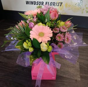 Products: Posy in a Container Windsor Florist