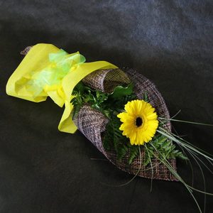 Single Flower - Gift Wrapped Windsor Florist