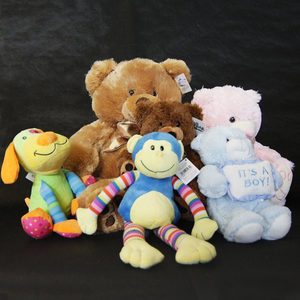 Teddy Bears Windsor Florist