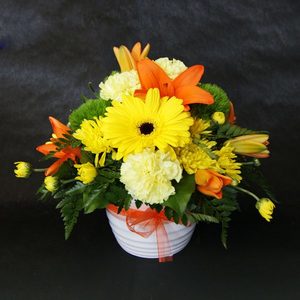 Cheery Pot Windsor Florist