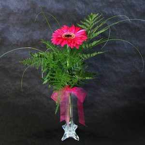 Products: Single Flower in Bud Vase Windsor Florist