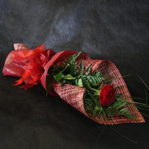 Single Rose - Gift Wrapped Windsor Florist