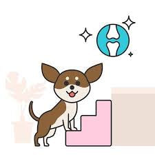 Naturopharm: Pet-Med Joint Support Spray