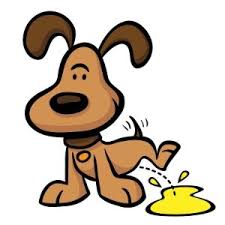 Pet-Med Urinary Spray