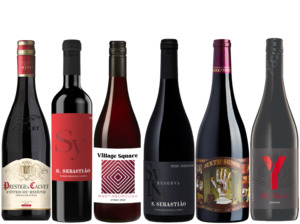 Mix Syrah: Shiraz/Syrah Power Pack 6 Bottle Case